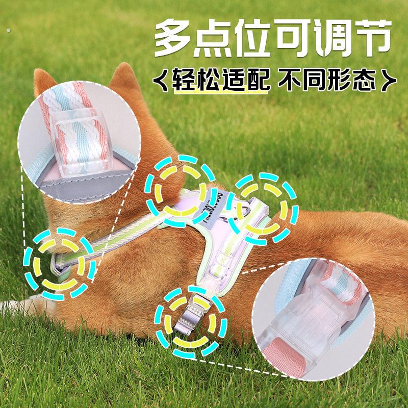 宠物用品狗狗胸背牵引绳透气小型犬狗炼子遛狗绳双牵引设计伸缩