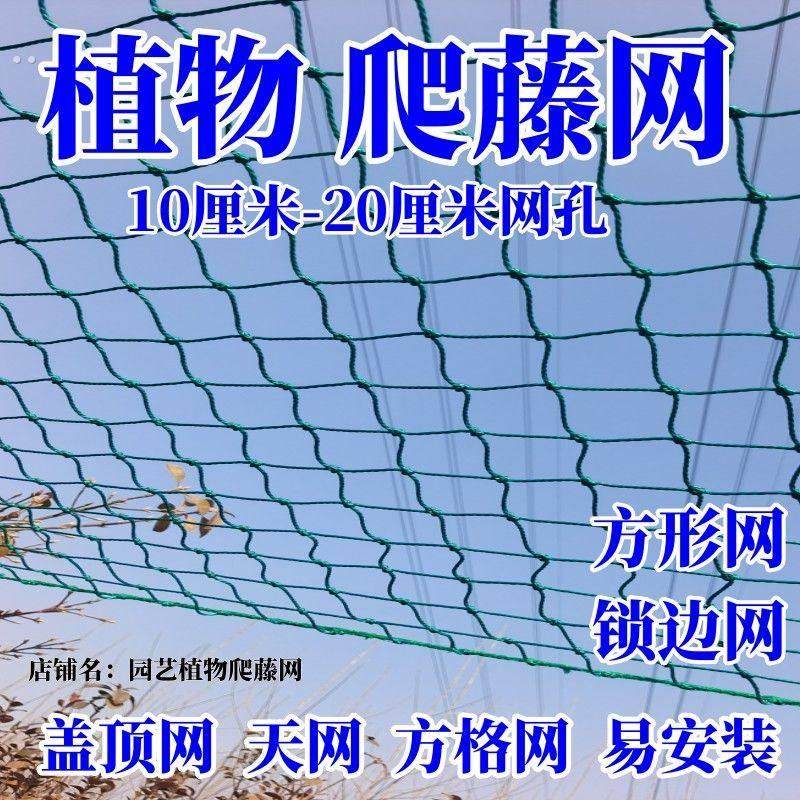 园艺植物爬藤网藤蔓网百香果葡萄丝瓜黄瓜吊瓜南瓜网搭架网专用网