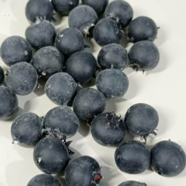 仿真蓝莓模型树莓水果沙拉粒摆件西餐复古样板间装饰道具拍照装饰