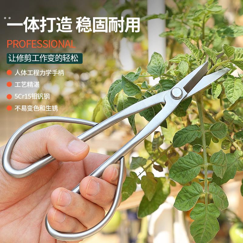 加厚叶芽剪刀全不锈钢园艺剪嫩芽修枝小枝切剪盆景长杆剪刀