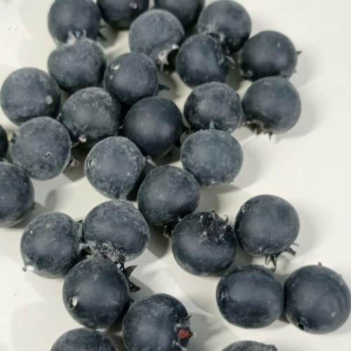 仿真蓝莓模型树莓水果沙拉粒摆件西餐复古样板间装饰道具拍照装饰