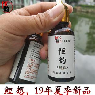 恒钓鲤想 黑坑小药 鲤鱼 鱼饵钓鱼恒钓渔具鱼饵添加剂夏季