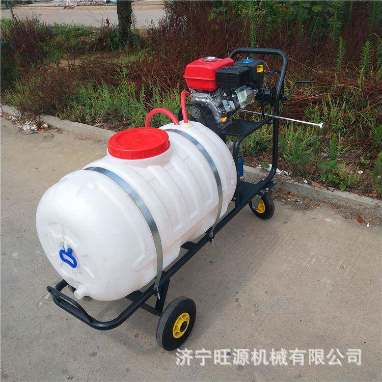手推式汽油喷药机 200L推车式打药车 手推式拉管喷雾器