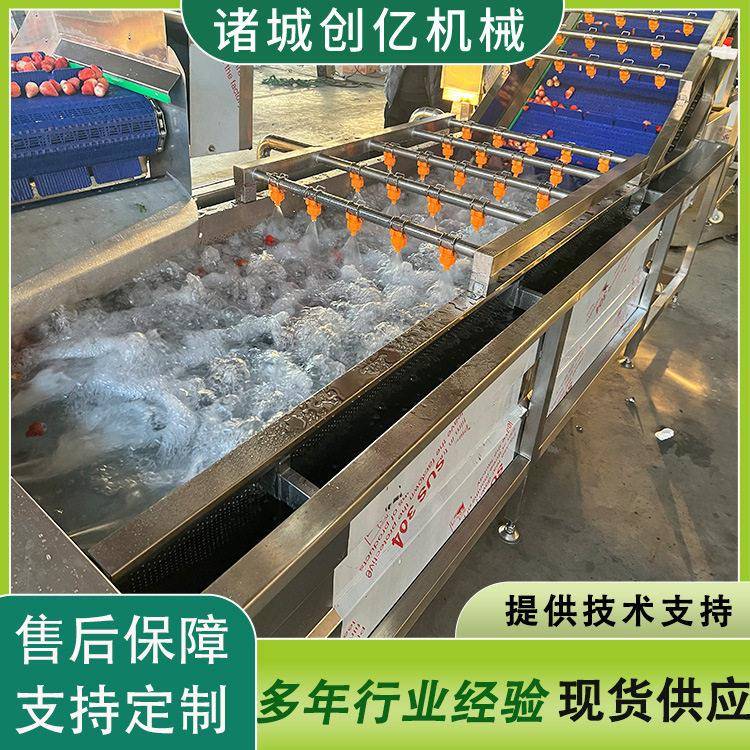 草莓气泡清洗机 供应草莓清洗流水线 水果头加工设备