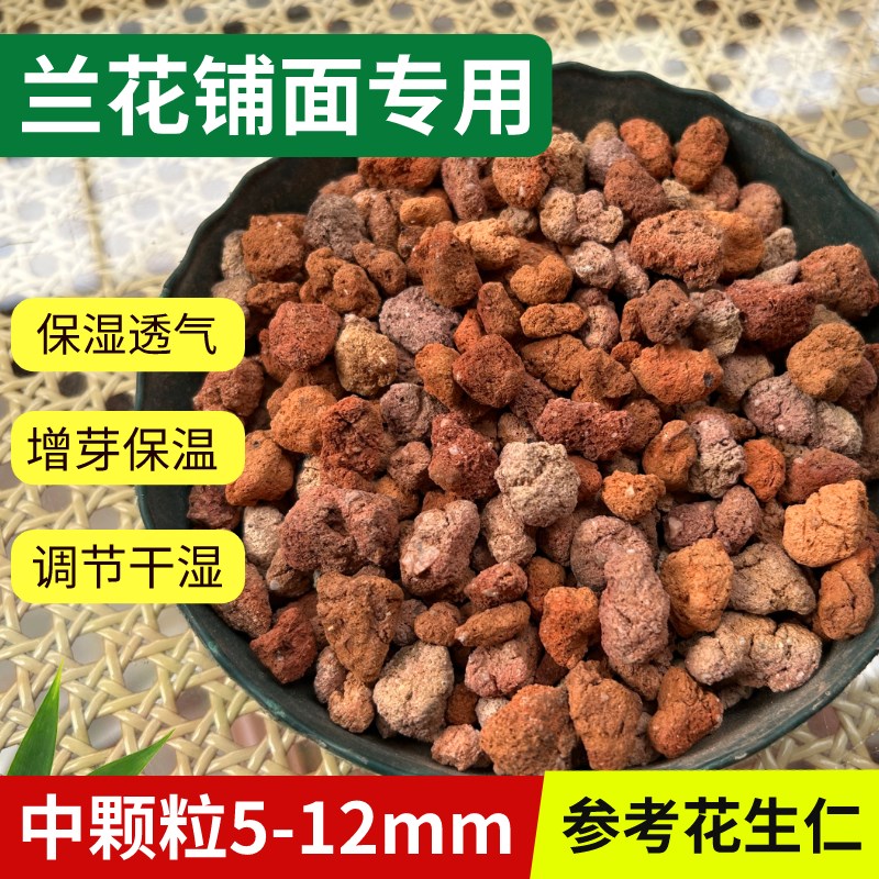 兰花铺面石料花盆养花的小石头白红火烧土颗粒火山石子金植料