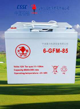 火炬6GFM85-86-75A堆垛车叉车电瓶大小金刚地牛搬运铅酸胶体电池