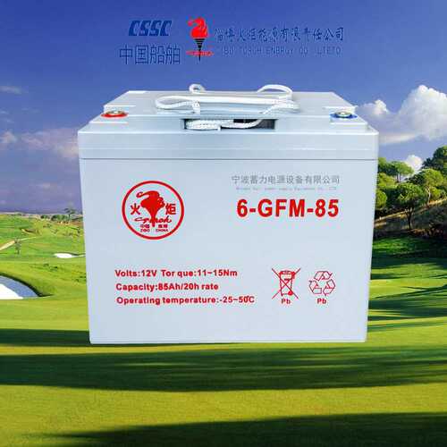 火炬6GFM85-86-75A堆垛车叉车电瓶大小金刚地牛搬运铅酸胶体电池