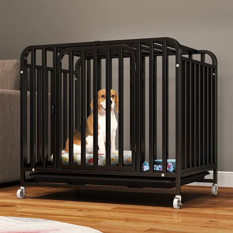 狗笼子小型犬中型犬大型犬室内带厕所泰迪柯基边牧家用宠物别墅
