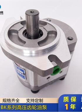 高压齿轮泵CBK1004-B1FL CBK1006-B1FL CBK1008-B1FL CBK1010-B1F