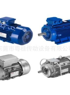 意大利Elvem电机Elvem铝壳电机，马达,刹车电机马达