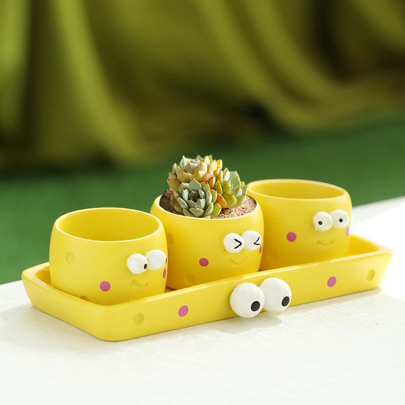 卡通拇指盆苔藓微景观室内蕨类植物超迷你小盆栽桌面绿植花盆