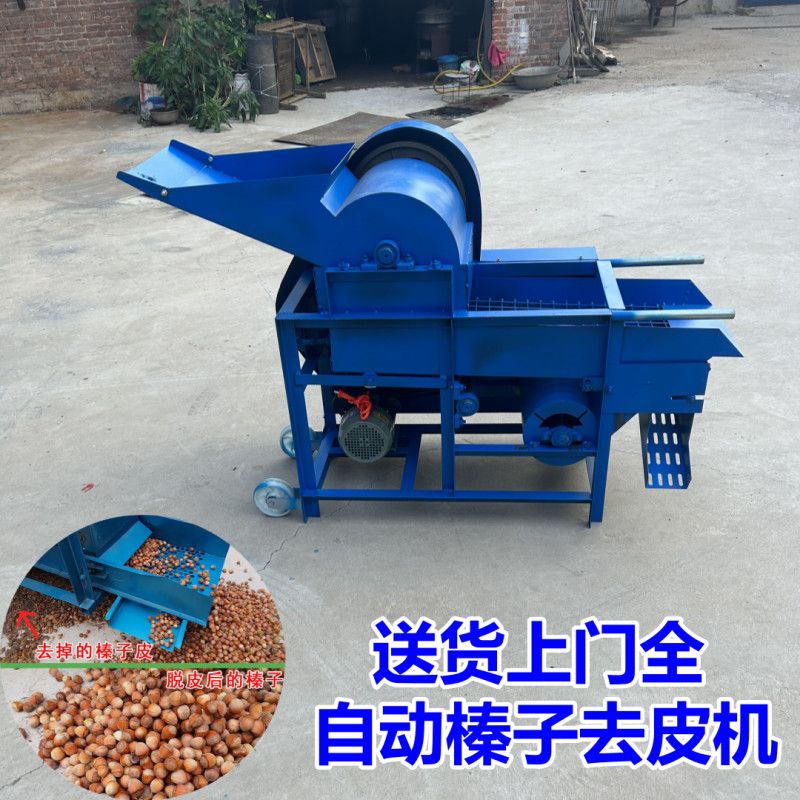 榛子去皮机专用全自动大