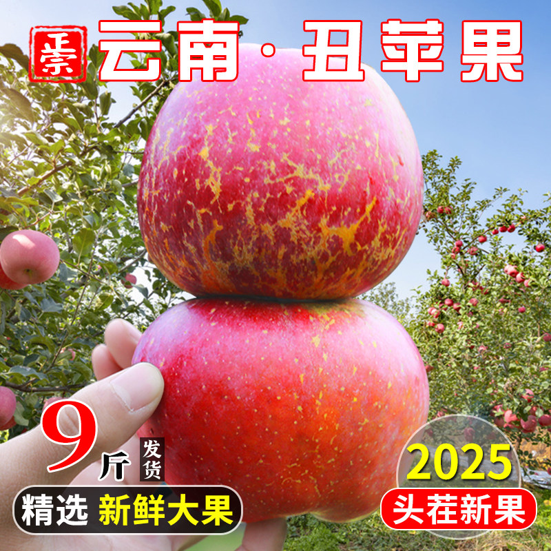 2025云南昭通高原丑苹果新鲜水果应当季整箱9斤冰糖心红露小苹果