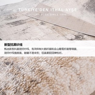 高端大平层客厅毯家用咖色耐脏沙发茶几毯 古臻轻奢大宅标配地毯