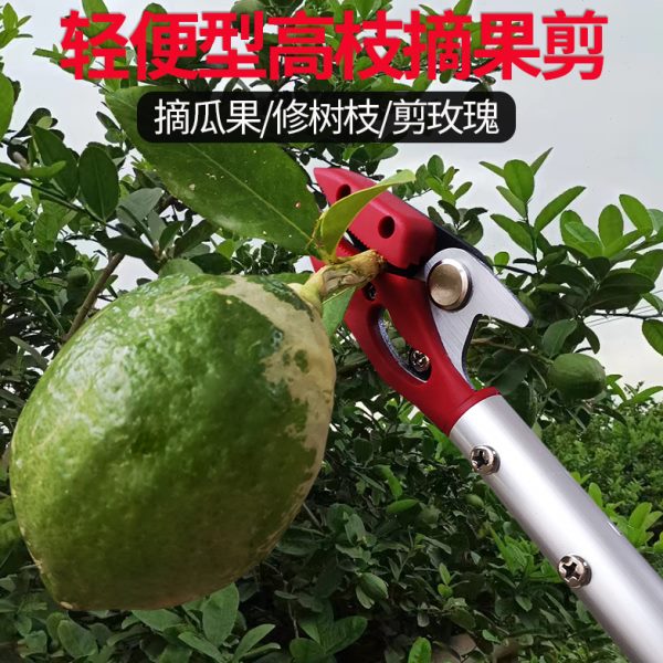摘果剪轻便摘果器美枝王高空采摘剪刀摘柠檬玫瑰修果树枝铝金手柄