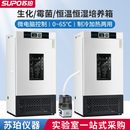 苏珀细菌霉菌微生物低温培养箱生化培养箱恒温恒湿培养箱实验室