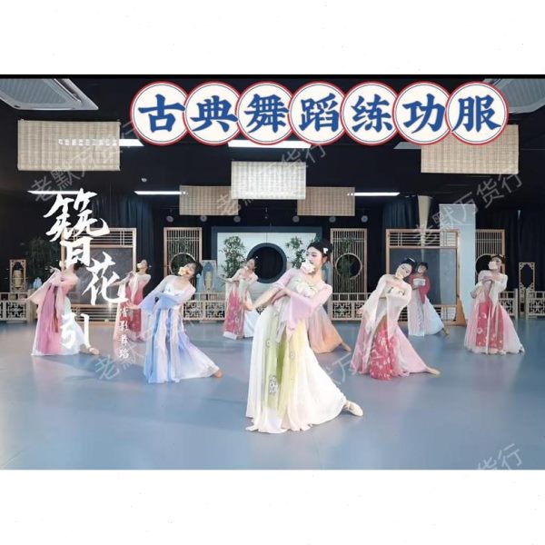 中国飘带国风唐汉舞簪衣纱长款飘逸古典舞练功服舞蹈服花齐胸演出