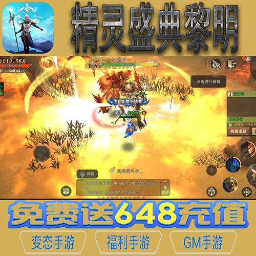 精灵盛典黎明手游gm后台vip无限资源礼包兑换码满级自用号