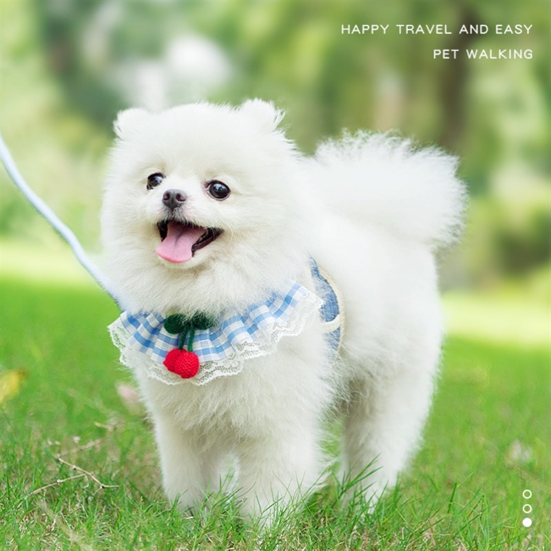 宠物博美小号牵狗绳牵引绳小型犬2斤比熊茶杯犬幼犬狗绳子外出