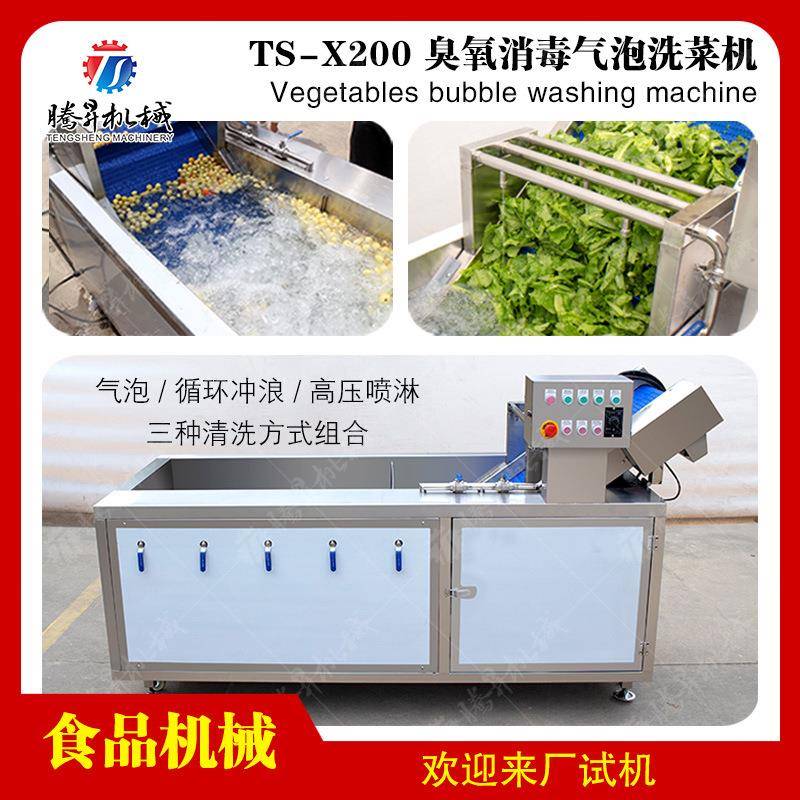 厂家供应粽叶清洗机果蔬气泡清洗机桔子橙子苹果洗果机