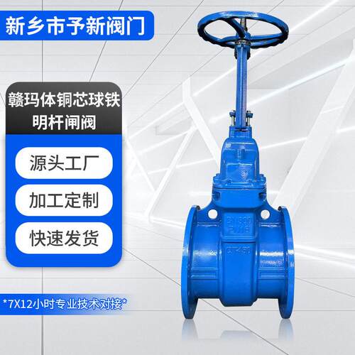 QT450硬密封闸阀DN200/00PN16铜芯球铁明杆闸阀Z41T-10Q不锈钢杆