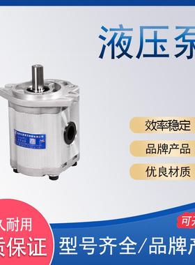 液压齿轮油泵CBTD-F4合肥液压泵凿岩钻机齿轮泵