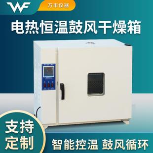 电热恒温鼓风干燥箱烘箱恒温箱烤箱烘干箱实验工业商用烤箱老化箱
