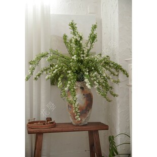 花曌 春季时令花材【小手球鲜切花】【家居瓶插花】【全国】