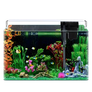 2024年新款鱼缸造景热弯玻璃缸客厅小型桌面免换水生态迷你金鱼草