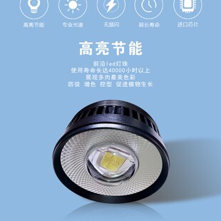 正阳高聚光筒灯多肉补光灯上色快防徒led全光谱花卉绿植室内家用