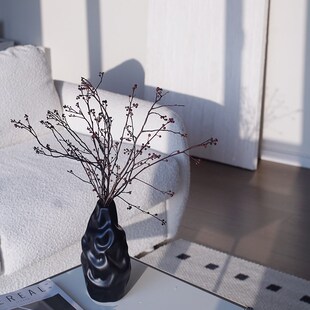灯台花干树枝h干花诧寂风玄关摆件不规则花瓶新中式瓶插花自然风