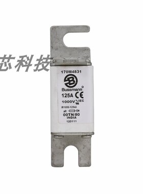 170M4830/170kM4831/170M4833/170M4834/170M4835 全新直流熔断器