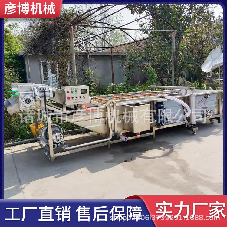 大枣苹果橙子气泡清洗机海参土豆块大白菜气泡清洗机
