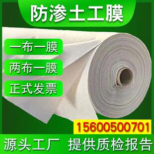 覆合土工膜防渗膜鱼塘鱼池防水蓄水池hdpe膜护坡防漏两布一布一膜