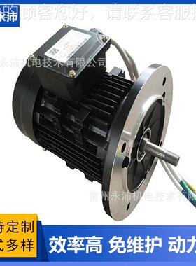 YP522132机 4V直8流永磁刷电动 轨道平车电机 无YP101 48V无刷电