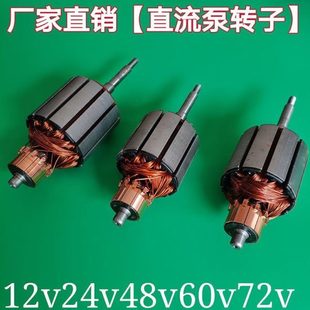 转子直流泵转子碳刷伏轴承12V24V48V60V72V配件叶轮密封油潜水泵