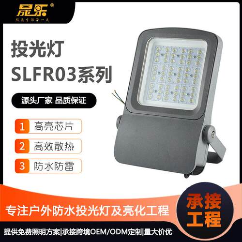 厂家直销投光灯路灯两用工程款射灯户外广场球场80W100W150W