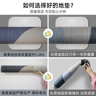 入户门地垫进门门口脚垫家用简约免洗门垫客厅玄关地毯浴室防滑垫