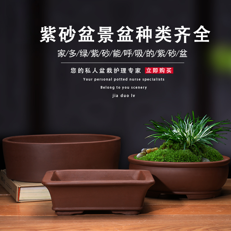 盆景盆 紫砂花盆 树桩盆景盆大中小陶瓷个性桌面绿植盆栽花盆