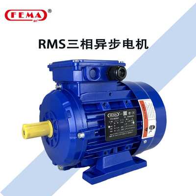 意大利FEMA三相RMS系列异步电机56132基座节能静音安装可自由选择