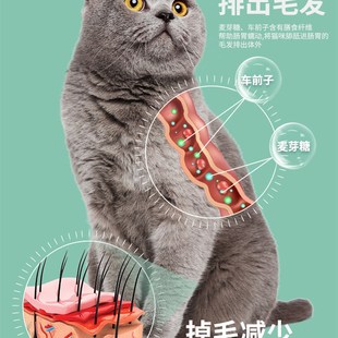 化毛膏猫咪宠物营养补充剂调整肠胃鱼油猫用去毛球片猫咪用品