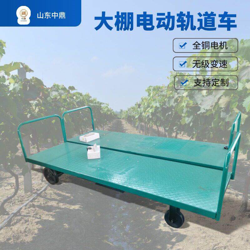 定制大棚轨道车大鹏温室运输搬运电动车农用果园大棚蔬菜运输