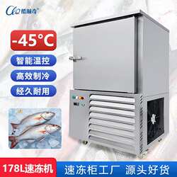 茂名罗非鱼速冻柜 冻透中心温度-18度速冻机 食品冷冻速冻柜现货