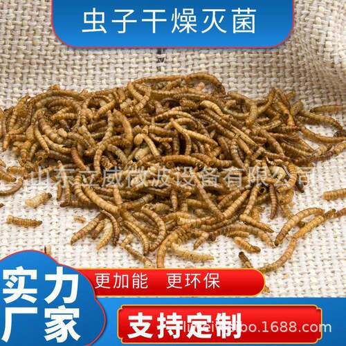昆虫类干燥烘干机 空气能全自动虫子黑水虻温烘烤设备