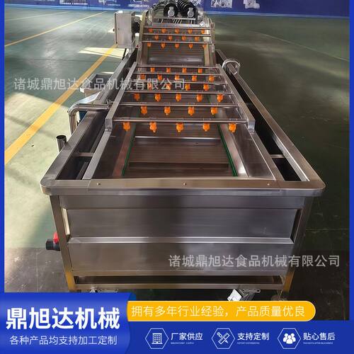 全自动气泡清洗机 水果果蔬清洗设备 净菜叶菜类辣椒蔬菜清洗机