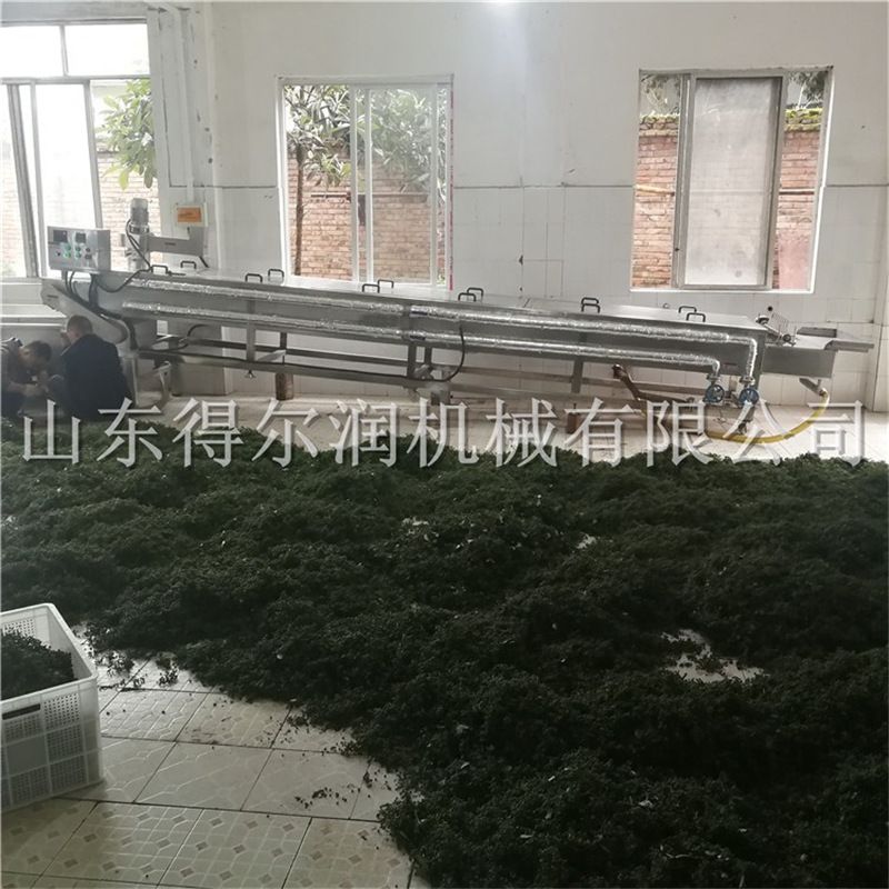 定做型加工 江津青花椒清洗杀青流水线 真空冷藏鲜花椒保鲜设备
