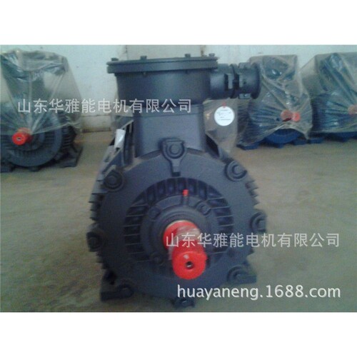 YE4EJ-355M2-4-250电机制动电机Y2EJ电机H级绝缘F级绝缘浸两遍漆