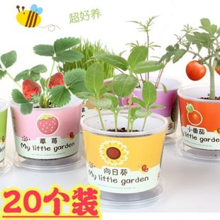 物兒童地推賣跳蚤義夜市品低價市場擺攤小商品小學(xué)生中愛小禮品心