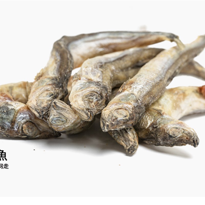 人类观察员小鱼干猫零食冻干多春鱼满籽猫咪营养猫粮狗狗宠物零食