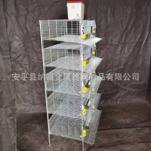 6层养殖场立式节省空间鹌鹑笼子 鸟笼鹌鹑蓝胸鹌鹑鹧鸪自动化养殖